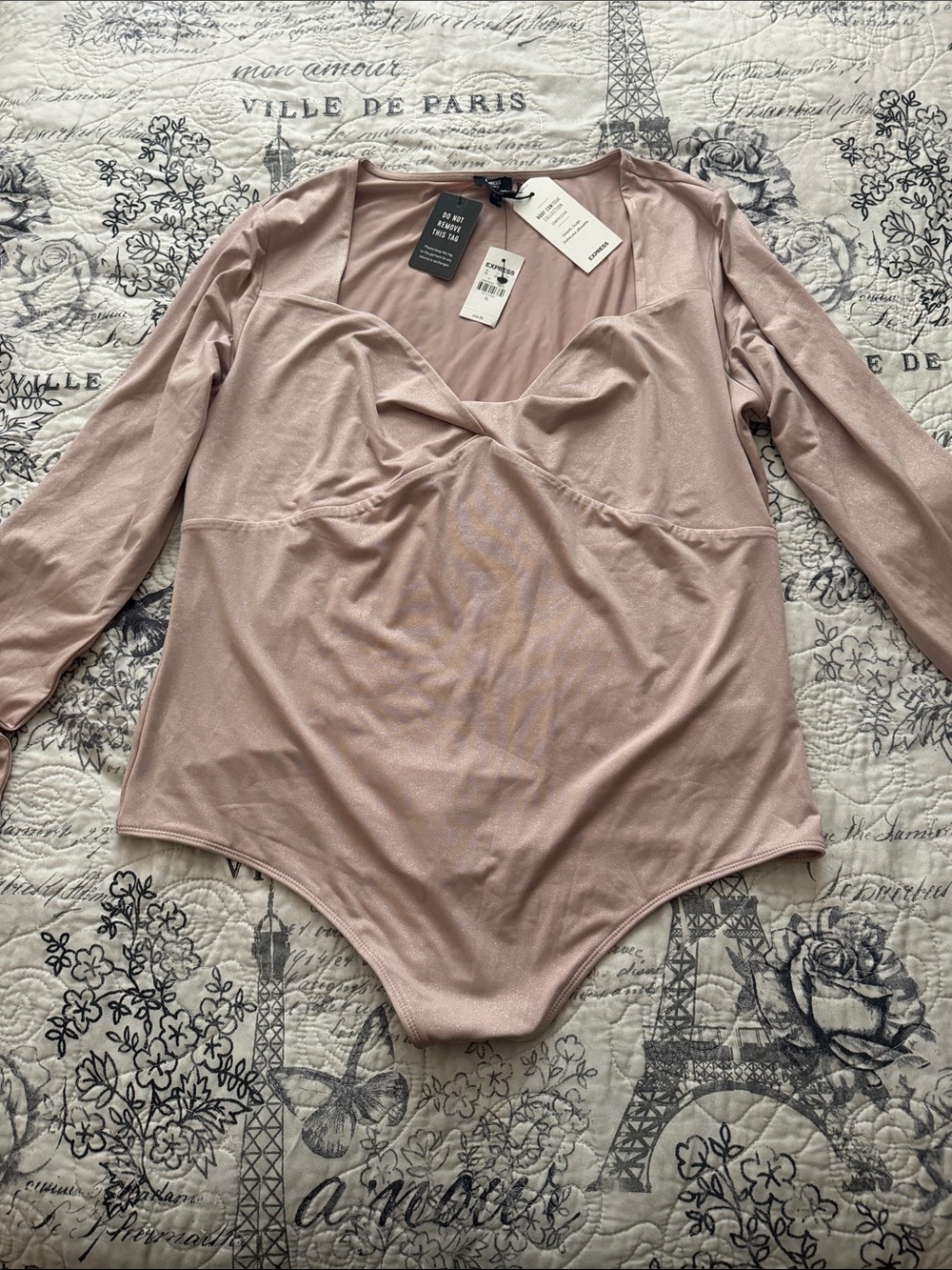 Express Long Sleeve V-Neck Bodysuit in Dusty Pink
